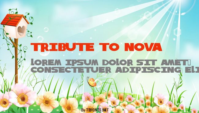 Tribute to Nova example